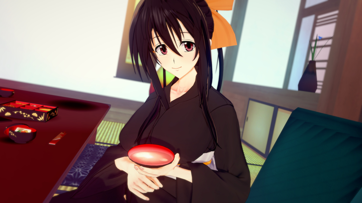 Akeno Himejima - High School DxD